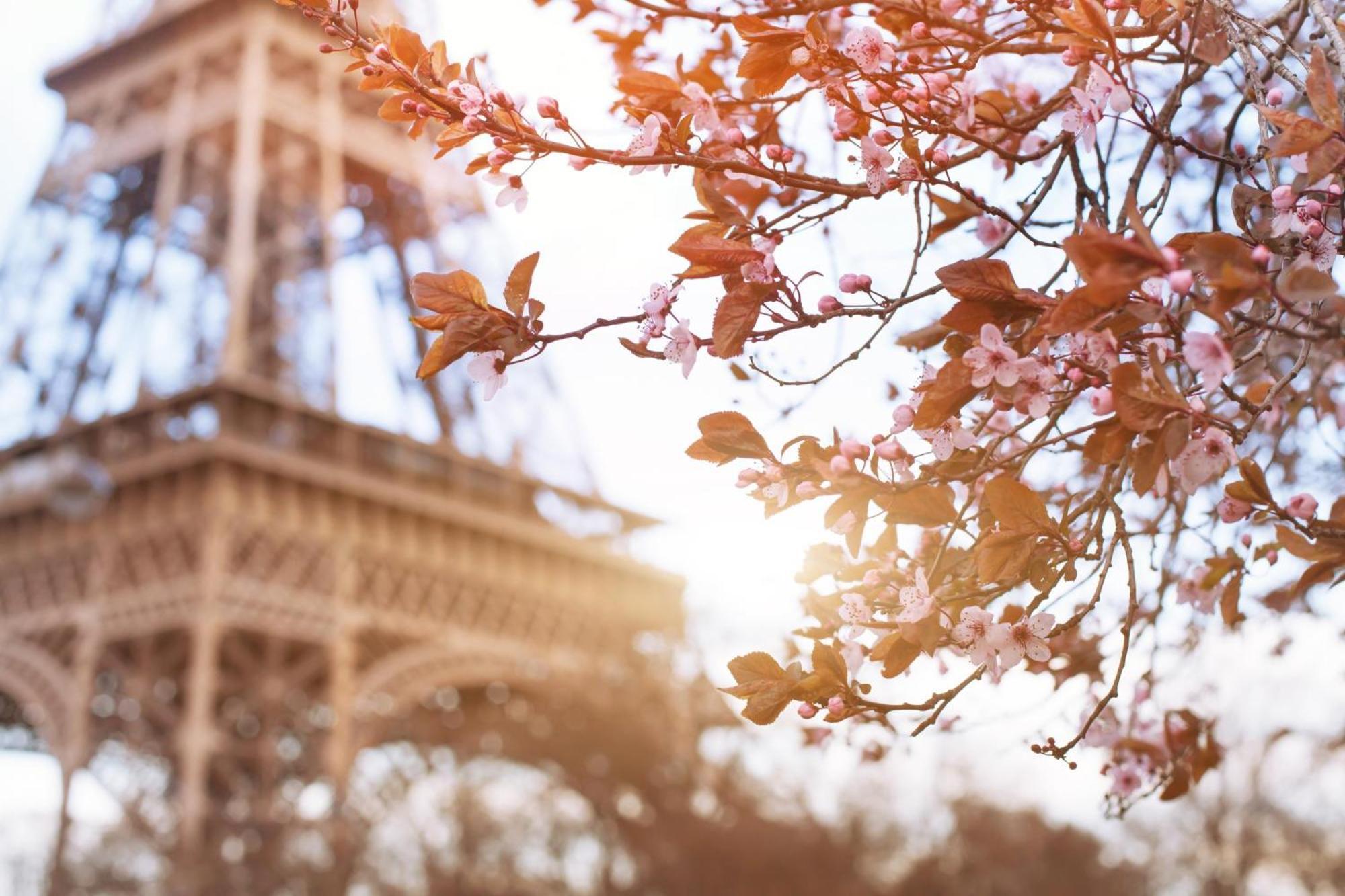 Timhotel Tour Eiffel Paris Eksteriør bilde